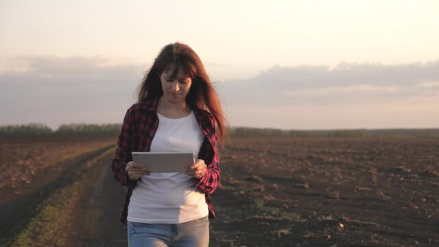 Farmer woman with tablet in field in rays of sunset. Business woman with modern gadget works online outdoors. Freelancer woman working in field. A woman agronomist checks the quality of sowing grain.