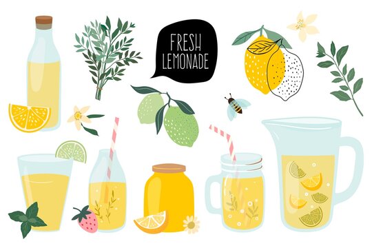 Summer fresh lemonade collection with  different elements isolated