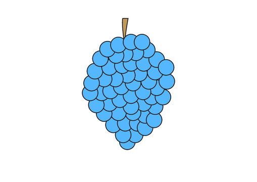 blueberry
