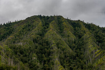 Exposed Ridges of Chimney Tops