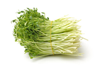 Bunch of snow pea microgreen on white background