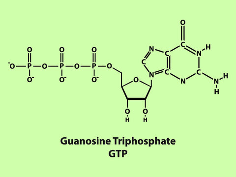 Guanosine Triphosphate GTP Biomolecule strcuture on color background