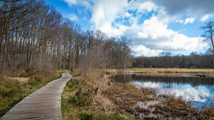 Beautiful natural pond with clouded sky in Drenthe Netherlands