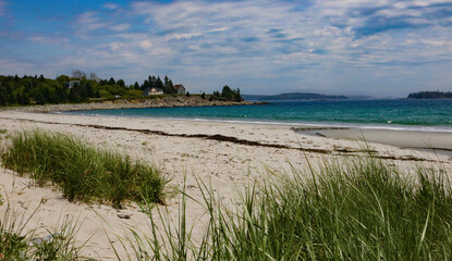 beach and trees