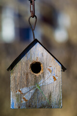 Bird's Net, New England, US