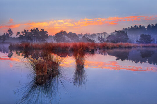 Sunrise on a heathland with dramatic clouds reflected in a pond, The Netherlands.