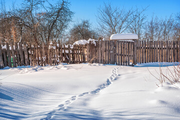A gate in a wooden fence and footprints in the snowA gate in a wooden fence and footprints in the...