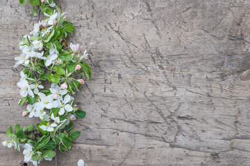 Happy Mother's day greeting card. Twig with apple blossom on old wooden background; space for text