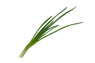 green onions isolated on a white background