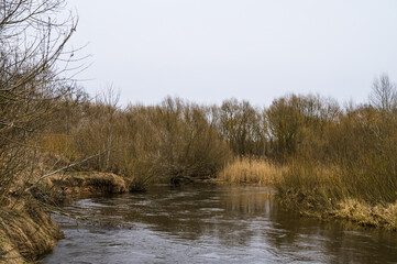 Spring or autumn landscape. Dry grass, trees and bushes on shore of river. Cloudy sky. Beautiful nature.