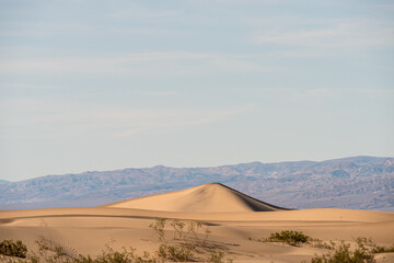 Fototapeta na wymiar Sand dunes in the desert with hazy mountain beyond under light hazy sky.
