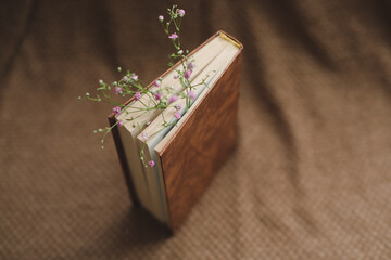 A book with gypsophila flowers inside. Flat lay, top view, mock up