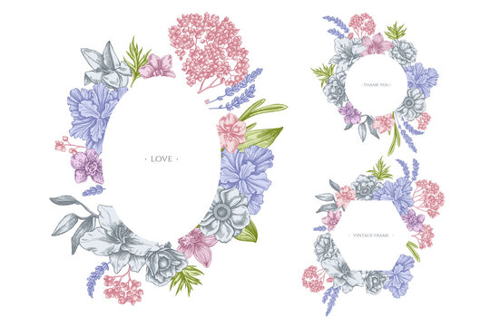 Floral frames with pastel anemone, lavender, rosemary everlasting, phalaenopsis, lily, iris