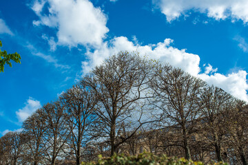 Jardin du Luxembourg Paris