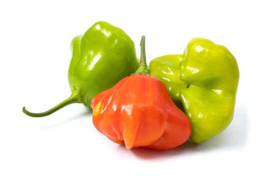 Group with three Brazilian cambuci peppers, with different ripening stages