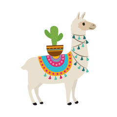 llama and cactus