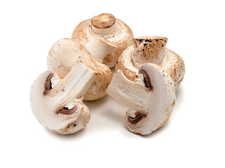 Fototapeta na wymiar Champignon mushroom, close-up, isolated on white background