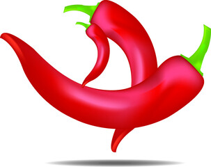 Red chilly on white background vector abstract