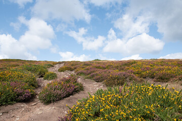 Howth-3