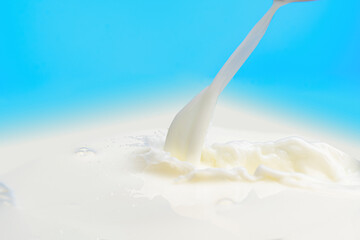 splash on the surface of milk and splashes on a blue background