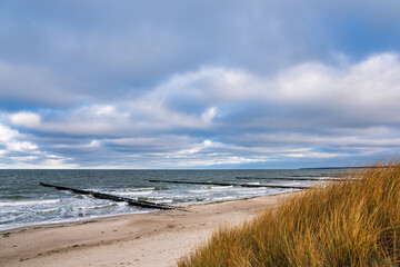 Fototapeta na wymiar Buhnen an der Küste der Ostsee auf dem Fischland-Darß