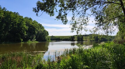 lake in the forest