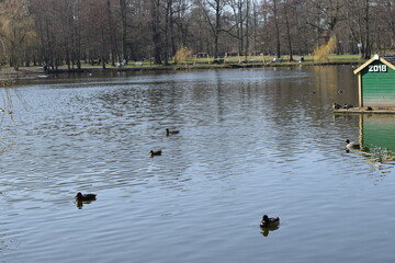 Nice view of the spring city pond.