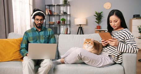 Happy young Asian pretty wife and Hindu husband resting on sofa at home with cute cat animal browsing on digital gadgets, man listens to music working on laptop while Asian woman typing on tablet