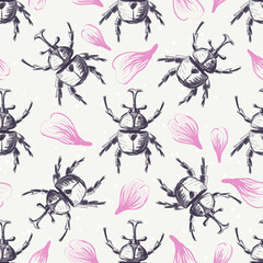 vector graphics for production