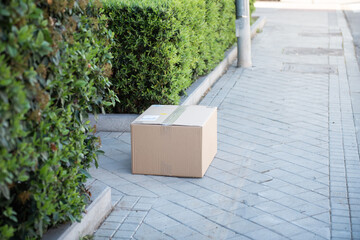 parcel on the street in front of the house