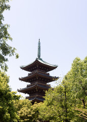 Obraz premium pagoda in the park, Japan