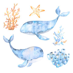 Watercolor cute elements on the marine theme blue whales, starfish and various corals in beige and blue tones for design, decor, stickers, decor and scrapbooking