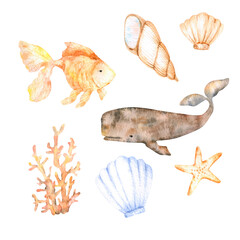 Watercolor cute elements on a marine theme - goldfish, sperm whale, various starfish, shells and corals in beige and blue tones for design, decor, stickers, decor and scrapbooking.