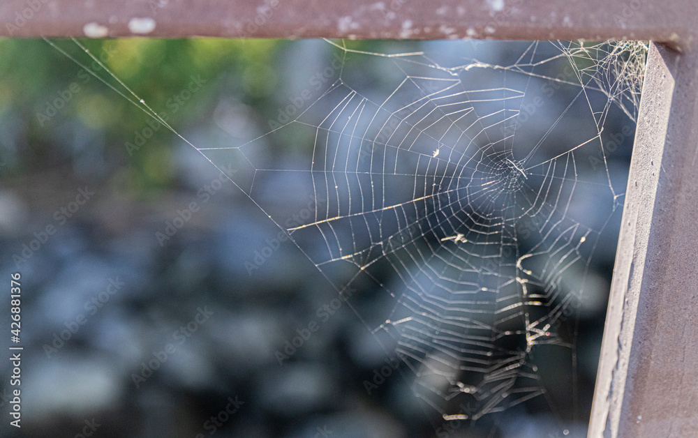 Wall mural spider web hanging from a handrail