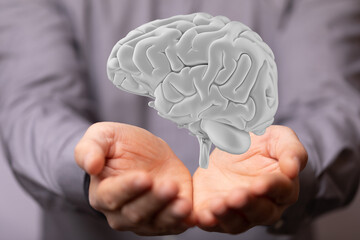 3d rendered medically accurate illustration