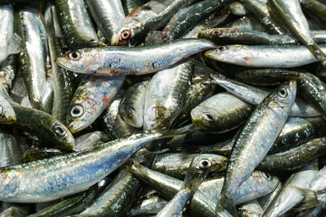 Fish for sale at Rialto Fish Market, Mercato di Rialto in Venice, Italy