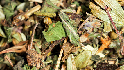 Dried herbs, leaves and stems, soothing herbal collection, macro