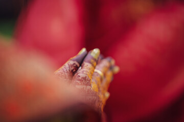 indian wedding ceremony