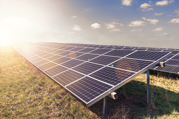 Photovoltaic park: Solar paneles with warm sunlight.  Renewable energies