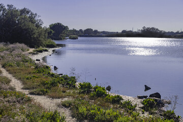 natural inlet of the PO delta