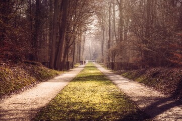 path in the autumn forest