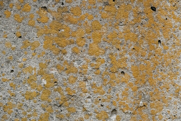 Gray concrete surface texture as background. Copy, empty space for text