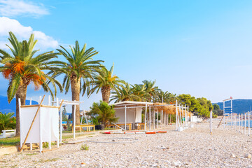 Palm trees along pebble beach . Empty tropical coast 
