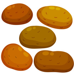 Potato. Brown root vegetable. Set of Natural farm product. Flat illustration