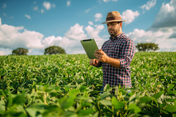 Latin American Farmer working on soybean plantation, examining crop development on tablet - obrazy, fototapety, plakaty