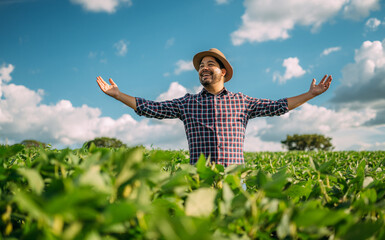 Farmer thanking for the harvest or rain. Soy plantation. Brazilian farm.