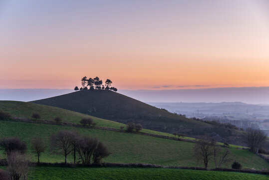 Beautiful vibrant sunrise landscape image of Colmer's Hill in Dorset on a Spring morning