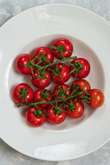 Fresh tomatoes  on a branch with water drops on a white background..