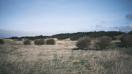 Obraz premium view of the countryside