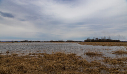 Landscape with a flooded field. On a cloudy day with a grey spring sky. The river is overflowing. Dry grass sticks out of the water.